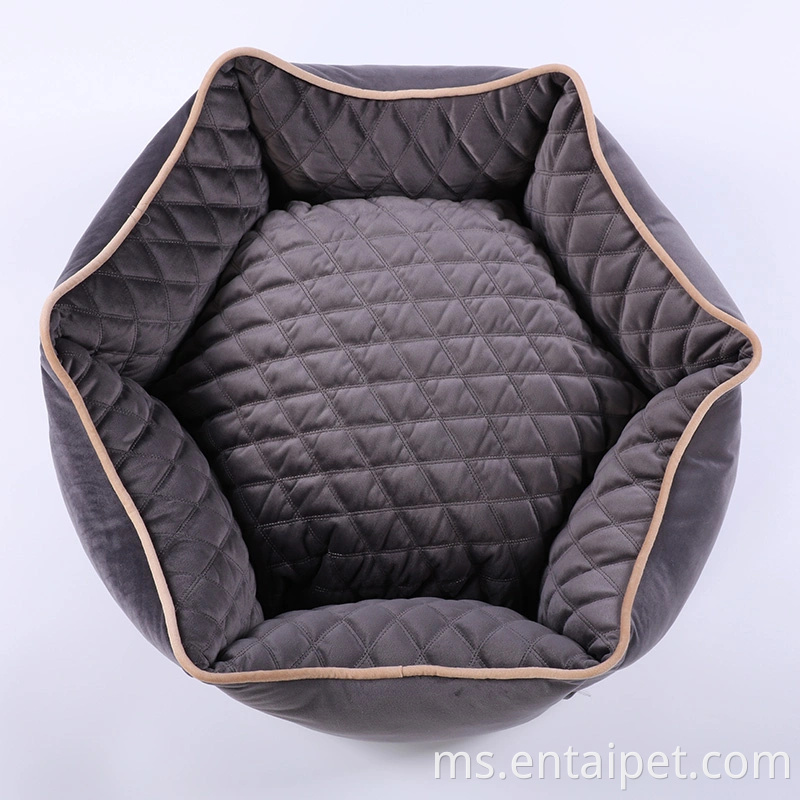 Kilang anjing lucu yang berkualiti tinggi